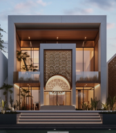Luxury architectural project