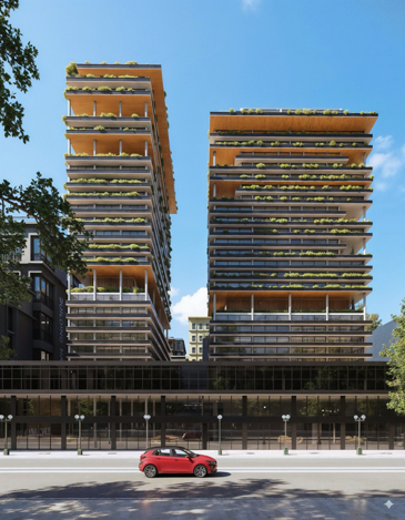 Strengthen vision gallery